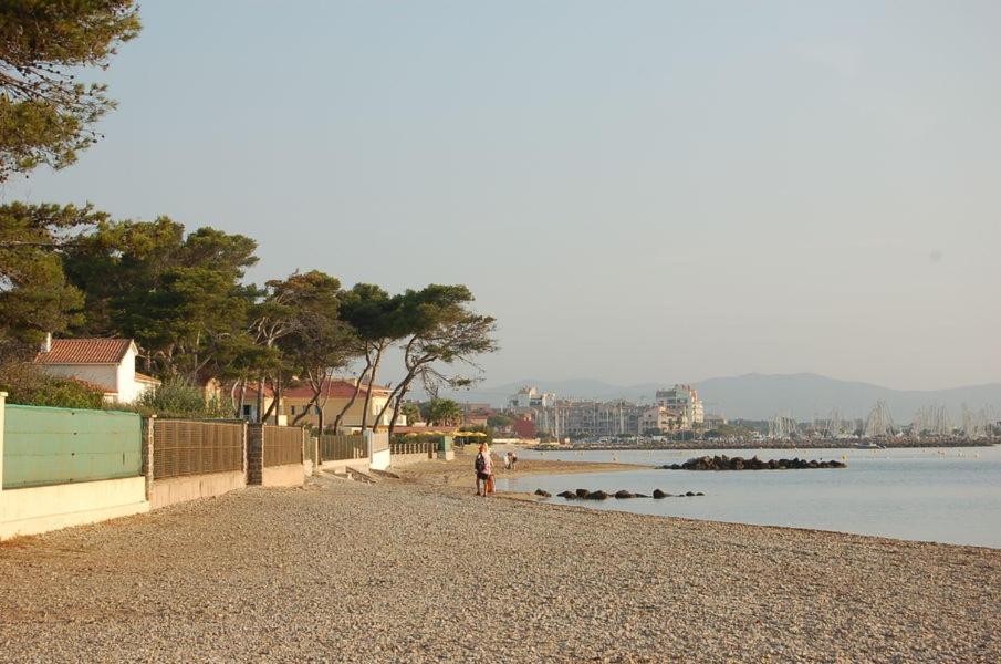 Port Duplex Plein Sud 200 M2 Et 100 M2 De Terrasse Apartment Hyères